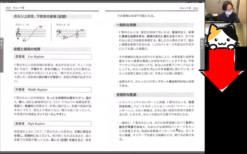 オンラインレッスン「楽器法研究」